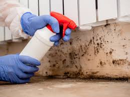 Reliable Monroe City, MO Mold Remediation Solutions